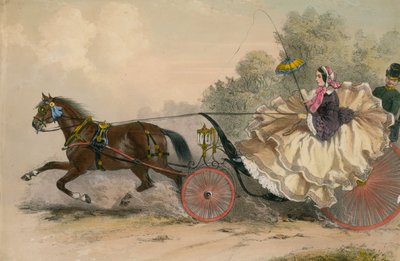 Cavallo e carrozza a tutta velocità con una signora alla frusta; prostituzione da English School