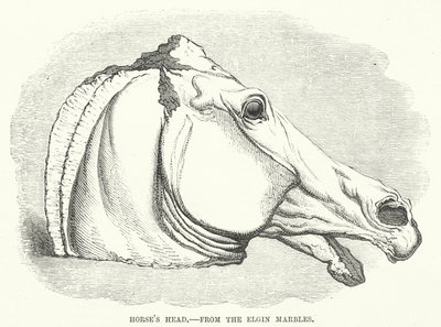Testa di Cavallo, dai Marmi di Elgin (incisione) da English School