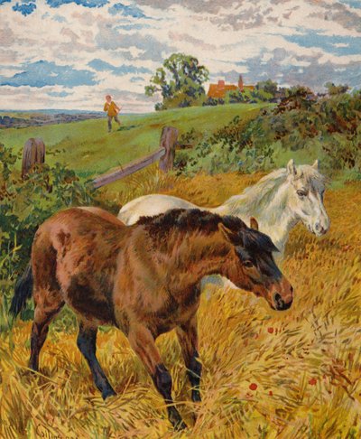 Cavalli in un campo di grano da English School