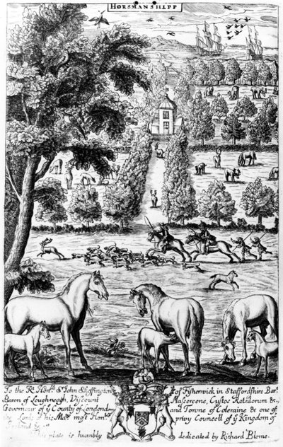 Equitazione, da 