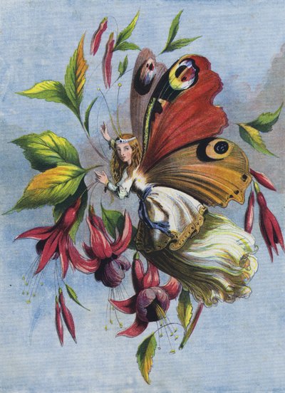 Come Lady Butterfly ha trascorso la giornata (litografia a colori) da English School