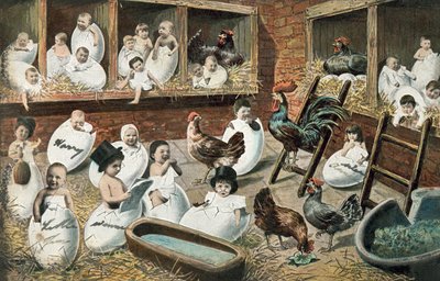 Bambini umani che nascono da uova di gallina da English School