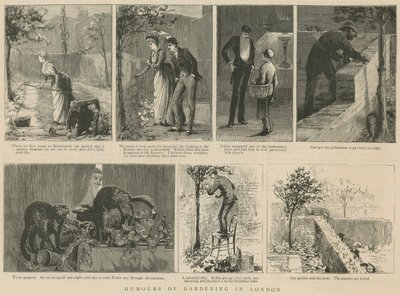 Umorismo del giardinaggio a Londra da English School