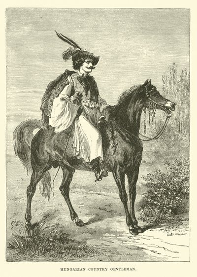 Gentiluomo di campagna ungherese da English School
