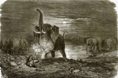 Cacciatore ed elefante da English School
