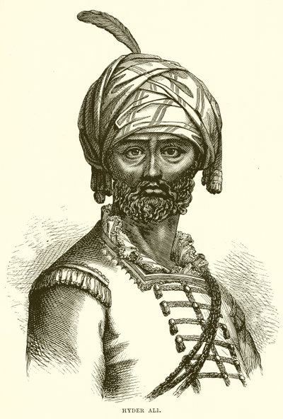 Hyder Ali da English School