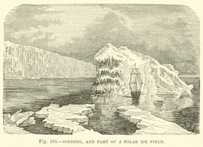Iceberg e parte di un campo di ghiaccio polare da English School