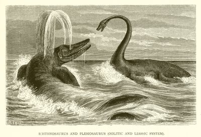 Ittiosauro e Plesiosauro, Sistema Oolitico e Liassico da English School