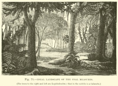 Paesaggio ideale delle misure del carbone da English School