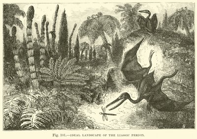 Paesaggio ideale del periodo Liassico da English School