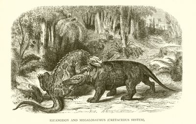 Iguanodonte e Megalosauro, Sistema Cretaceo da English School