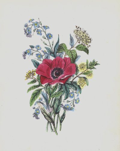 Illustrazione per Moss Rose Album da English School