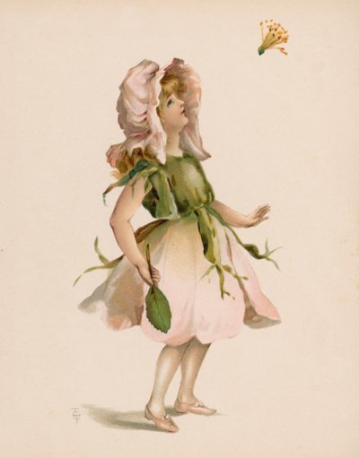 Illustrazione per Il Linguaggio dei Fiori da English School