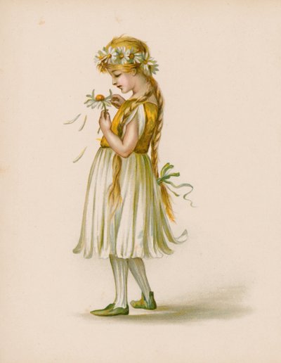 Illustrazione per Il Linguaggio dei Fiori da English School