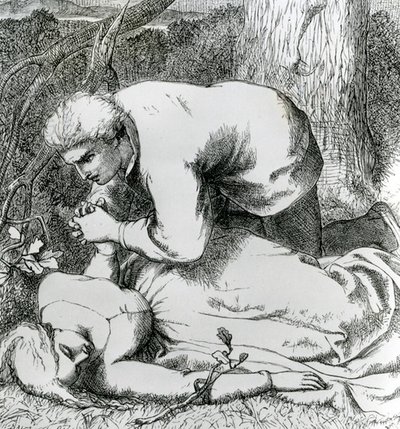 Illustrazione da 