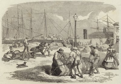 Illustrazioni della guerra in America da English School