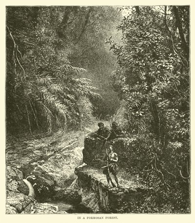 In una foresta di Formosa da English School