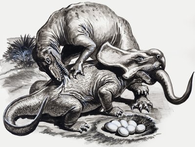 Nei giorni dei dinosauri: scoperta nel deserto da English School