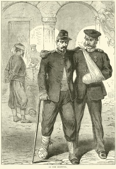 In ospedale, novembre 1870 da English School