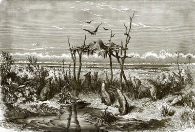 Sepolcro indiano nella prateria di erba alta, sul fiume Saskatchewan da English School