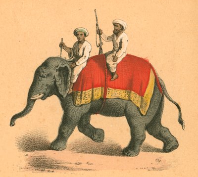 Indiani su un elefante da English School