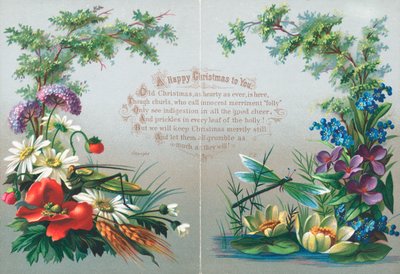 Insetti e Fiori, Cartolina di Natale da English School
