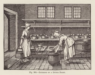 Interno di una latteria olandese (incisione) da English School
