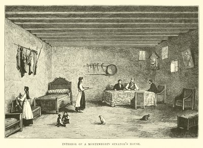Interno di una casa di senatori montenegrini da English School