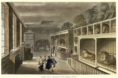 Veduta interna del Politos Royal Menagerie, Exeter Change, Strand, 1812 da English School