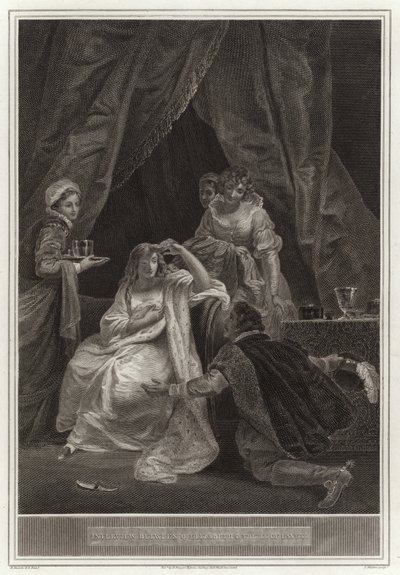 Incontro tra la regina Elisabetta e il conte di Essex da English School