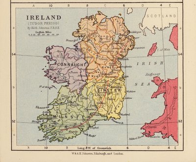 Irlanda, Periodo Tudor da English School
