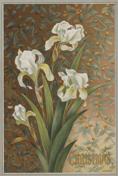 Iris (cromolitografia) da English School