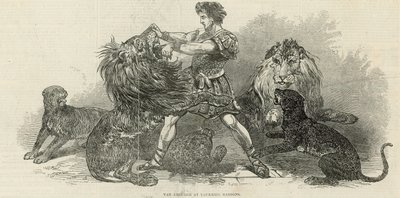 Isaac van Amburgh nei Vauxhall Gardens da English School