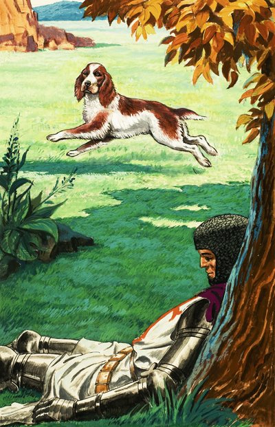 Jack e Jill e il vecchio castello da English School