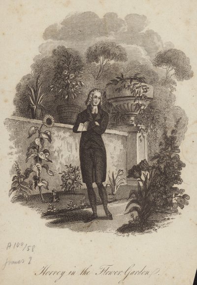 James Hervey nel giardino fiorito da English School