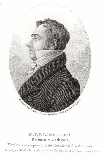Jean Vincent Félix Lamouroux da English School