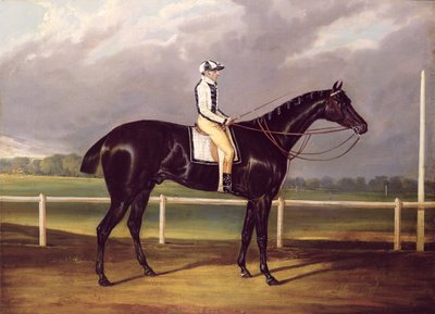 Jerry, vincitore del St. Leger nel 1824 da English School