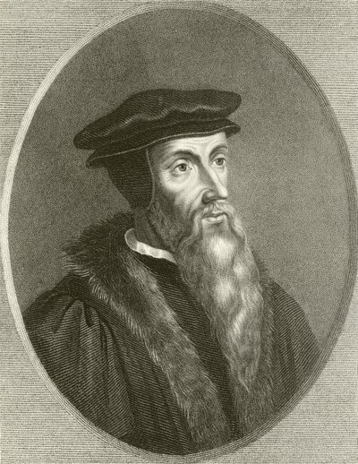 Giovanni Calvino da English School