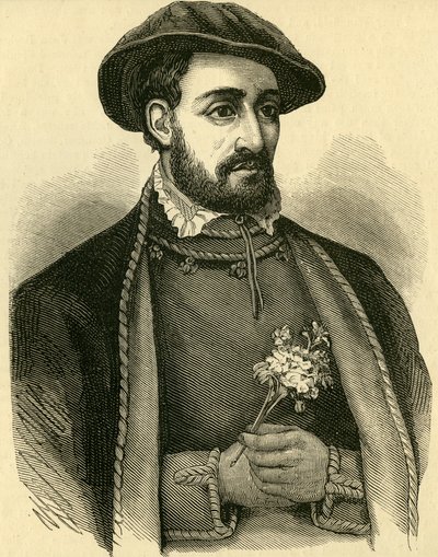 John Dudley, Duca di Northumberland (1502-53) da English School