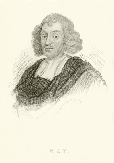 John Ray da English School
