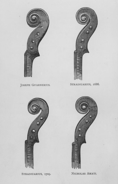 Joseph Guarnerius; Stradivari da English School