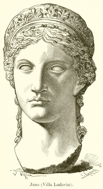 Giunone (Villa Ludovisi) da English School
