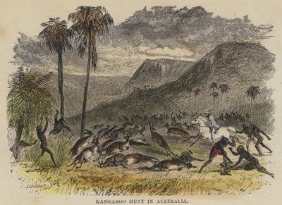 Caccia al canguro in Australia da English School