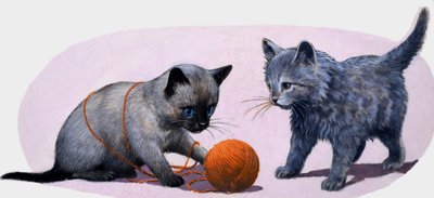 Gattini che giocano con un gomitolo di lana da English School