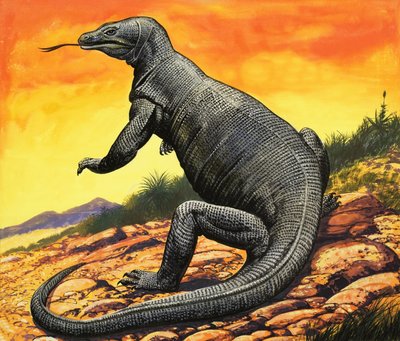 Drago di Komodo da English School