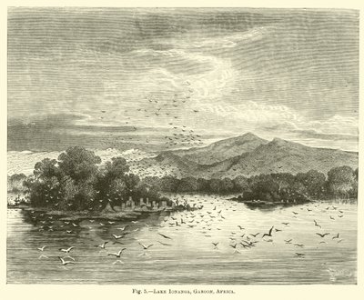 Lago Ionanga, Gabon, Africa da English School