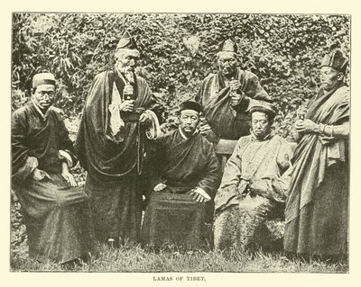 Lama del Tibet da English School