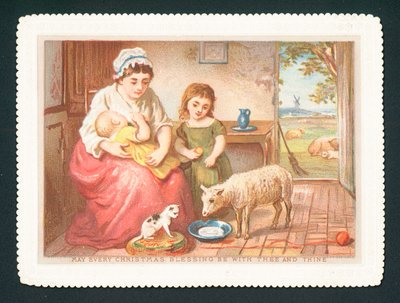 Agnello che beve latte in cucina da English School