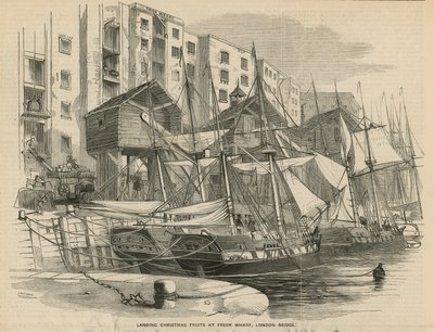 Scarico dei frutti di Natale a Fresh Wharf da English School