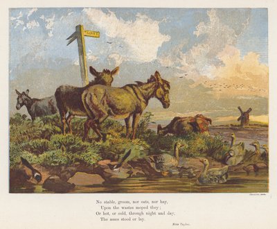 Paesaggio con asini e uccelli (litografia a colori) da English School